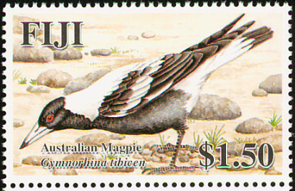 Australian Magpie Fiji Stamp Australian Magpie Fiji Stamp