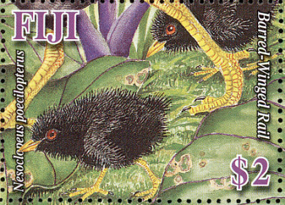 Barred Ringed Rail Fiji Stamp Barred Ringed Rail Fiji Stamp