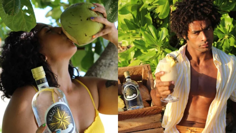 Blue Turtle Gin bottle with backdrop of The Distillery Co Fiji’s upcoming distillery in Nadi.