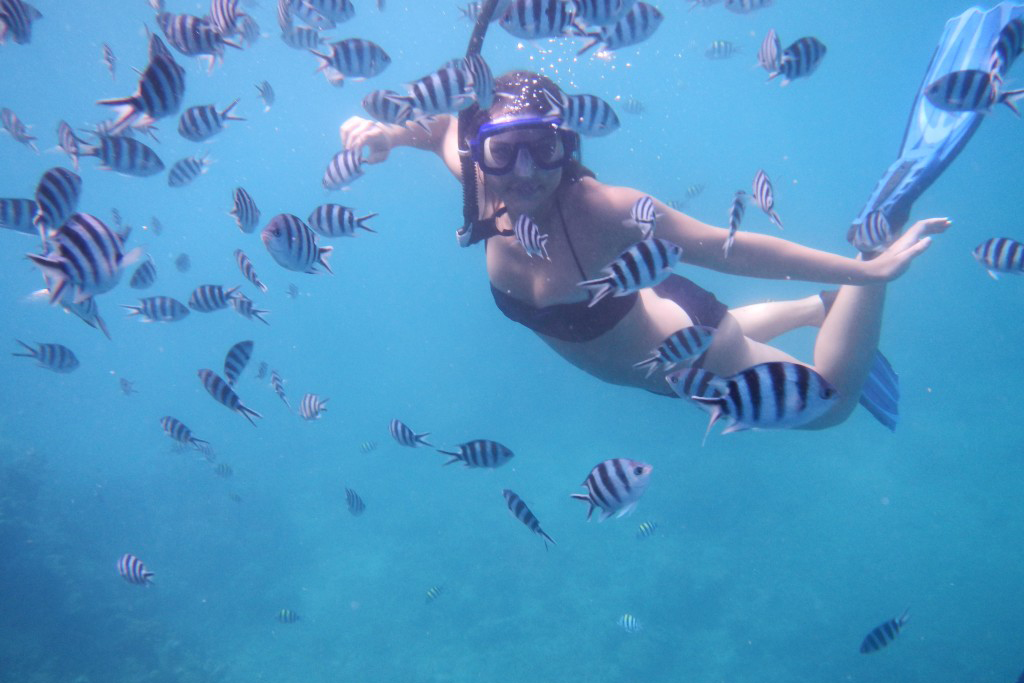 Daku Resort Activities 1 Woman snorkeling with tropical fish in crystal clear waters at Daku Resort Fiji