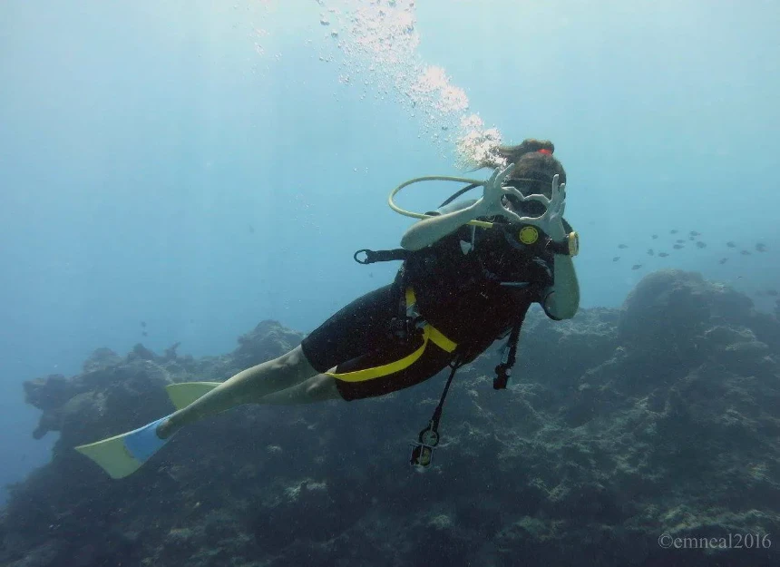 Denarau Dive Fiji denarau dive fiji diver heart emoji