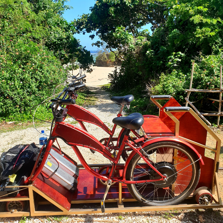 bicycles ecotrax fiji