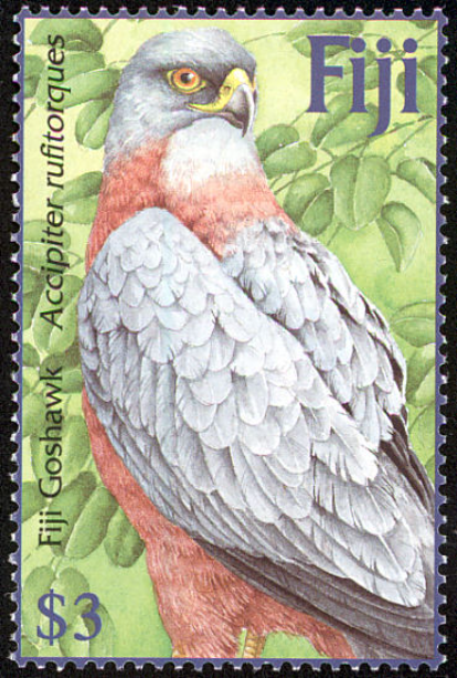 Fiji Goshwawk Fiji Stamp Fiji Goshwawk Fiji Stamp