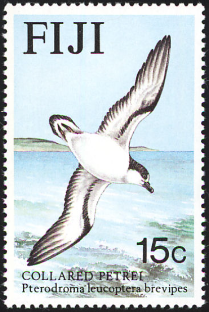 Fiji Stamp Collard Petrel Fiji Stamp Collard Petrel