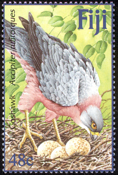Goshwawk Fiji Stamp 1 Goshwawk Fiji Stamp 1