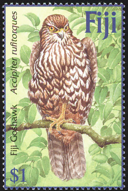 Goshwawk Perched Fiji Stamp Goshwawk Perched Fiji Stamp