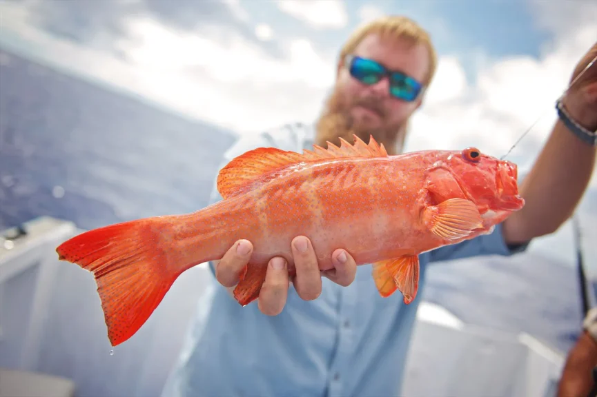 Hidden Gem catch of the day hidden gem fiji