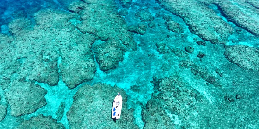 Immersion Fiji immersion fiji