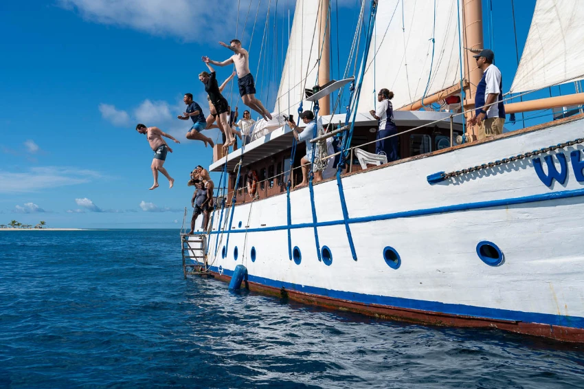 Jumping of Whales Tale Vessel jumping of whales tale vessel