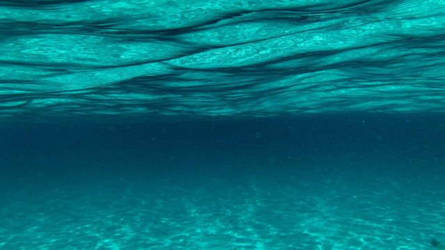 Marine Conservation Marine Conservation
