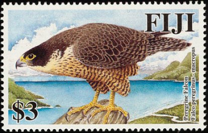 Peregrine Falcon Fiji Stamp Set Peregrine Falcon Fiji Stamp Set