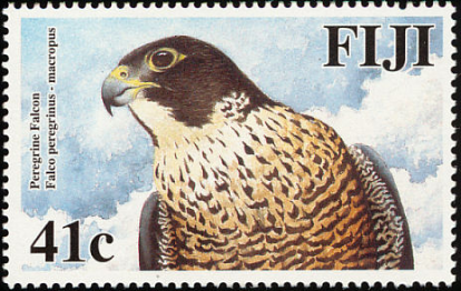 Perogrine Falcon Fiji Stamp Perogrine Falcon Fiji Stamp