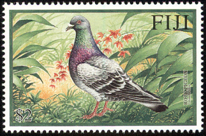 Pigeon Fiji Stamp Pigeon Fiji Stamp