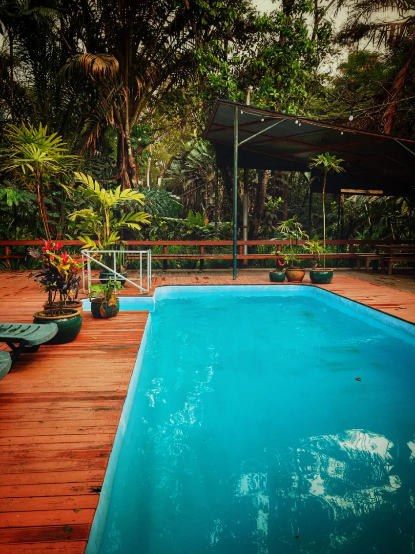 Pool at Rainforest Eco Lodge pool at rainforest eco lodge