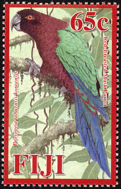 Red Breast Musk Parrot Red Breast Musk Parrot