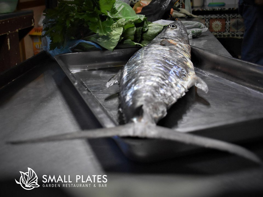 Small Plates spanish mackerel small plates spanish mackerel