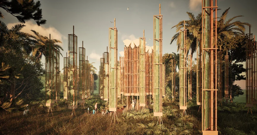 Solar Forest Solar Forest, Lagi 2025