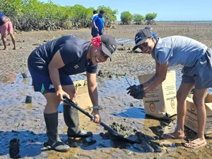 Volunteers planting mangroves at Tanoa Hotels in Fiji as part of an environmental conservation initiative.