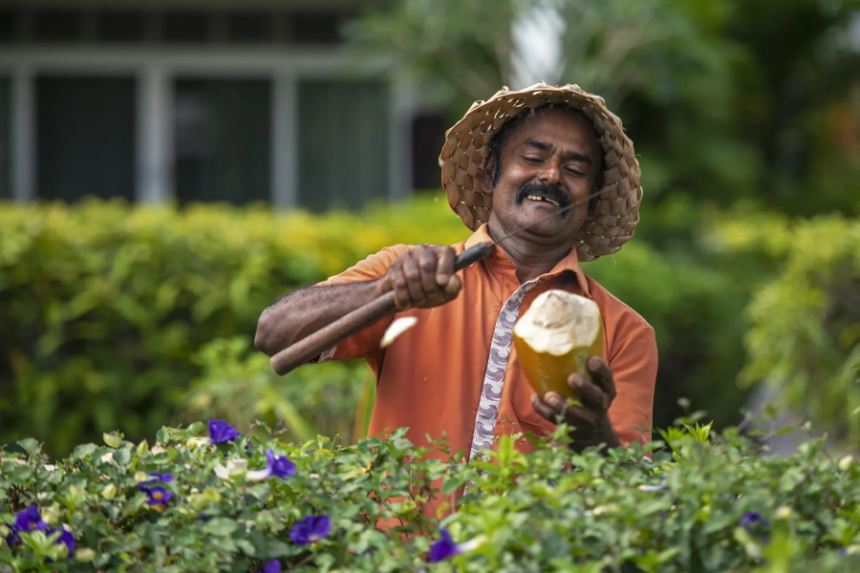 The Terraces Apartments gardner the terraces apartments gardener