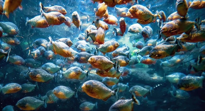 Undersea Metropolis Poster
