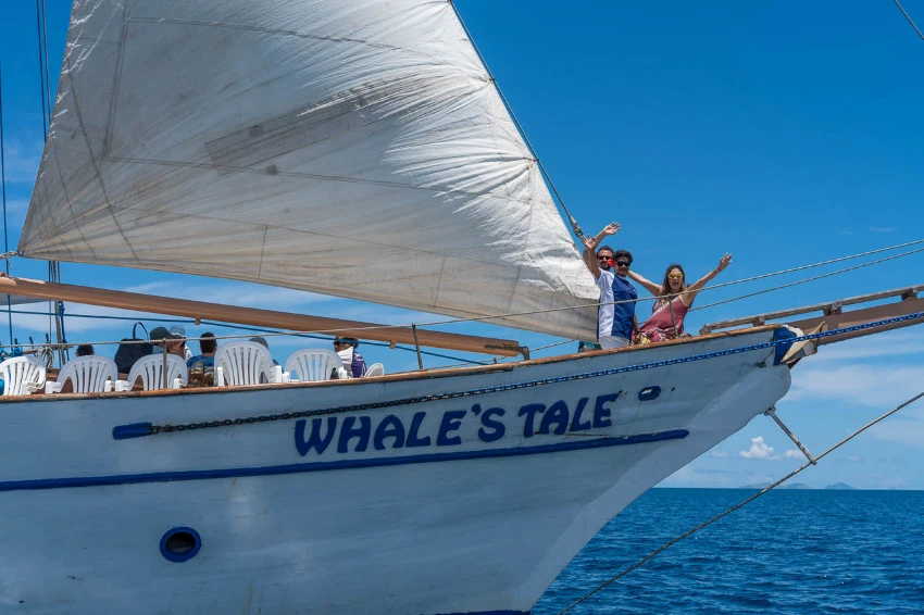 Vessels Bow Whales Tale vessels bow whales tale