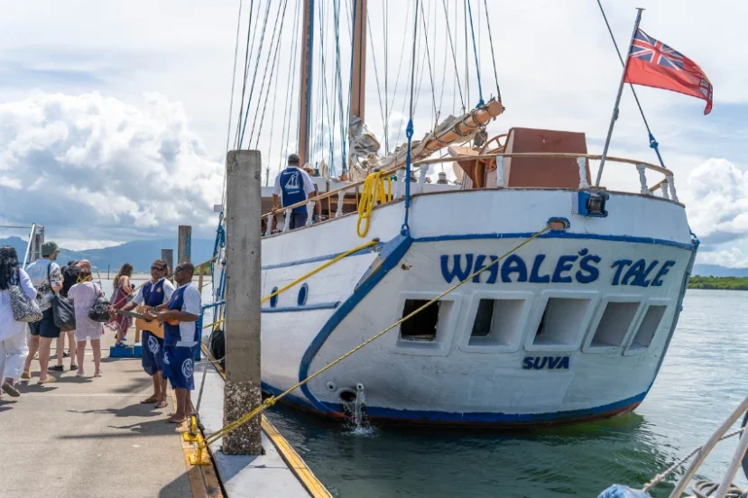 Whales Tale Moored Up whales tale moored up