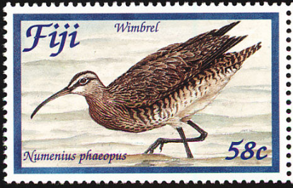 Wimbrel Fiji Stamp Wimbrel Fiji Stamp