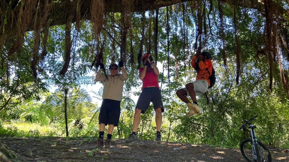 ibike Fiji fun scaled ibike Fiji fun scaled